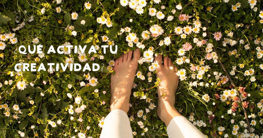 Newsletter Miércoles 1 de mayo de 2024