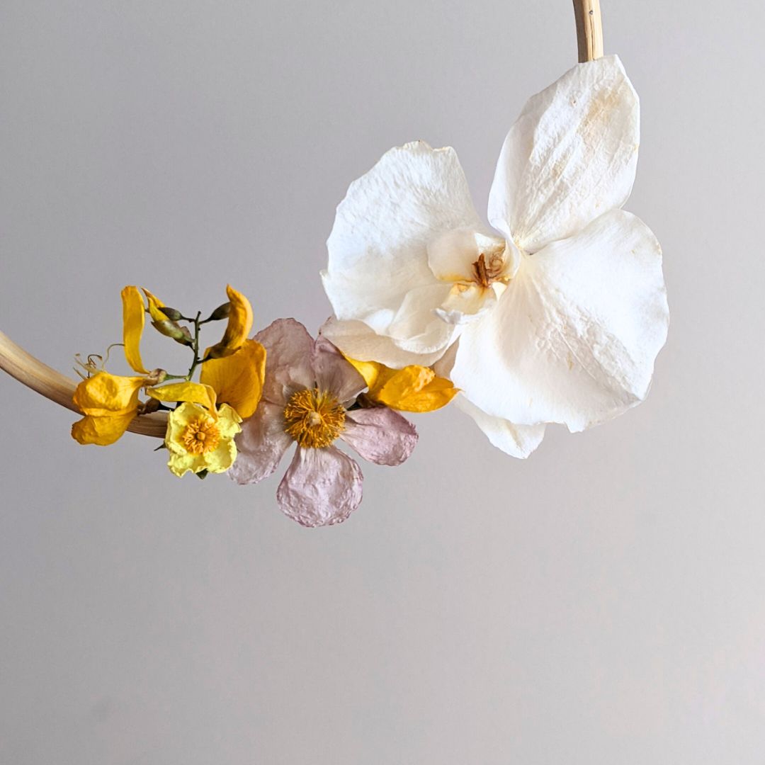Clase Online: Aprende a secar flores con microondas