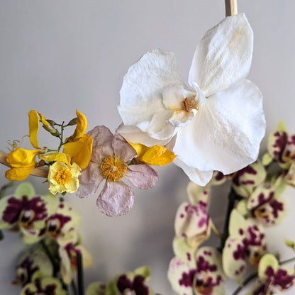 Clase Online: Aprende a secar flores con microondas